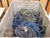 SAM_1429 SAM_1429
