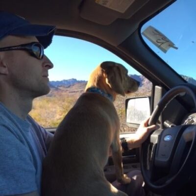 Brad Zirkel