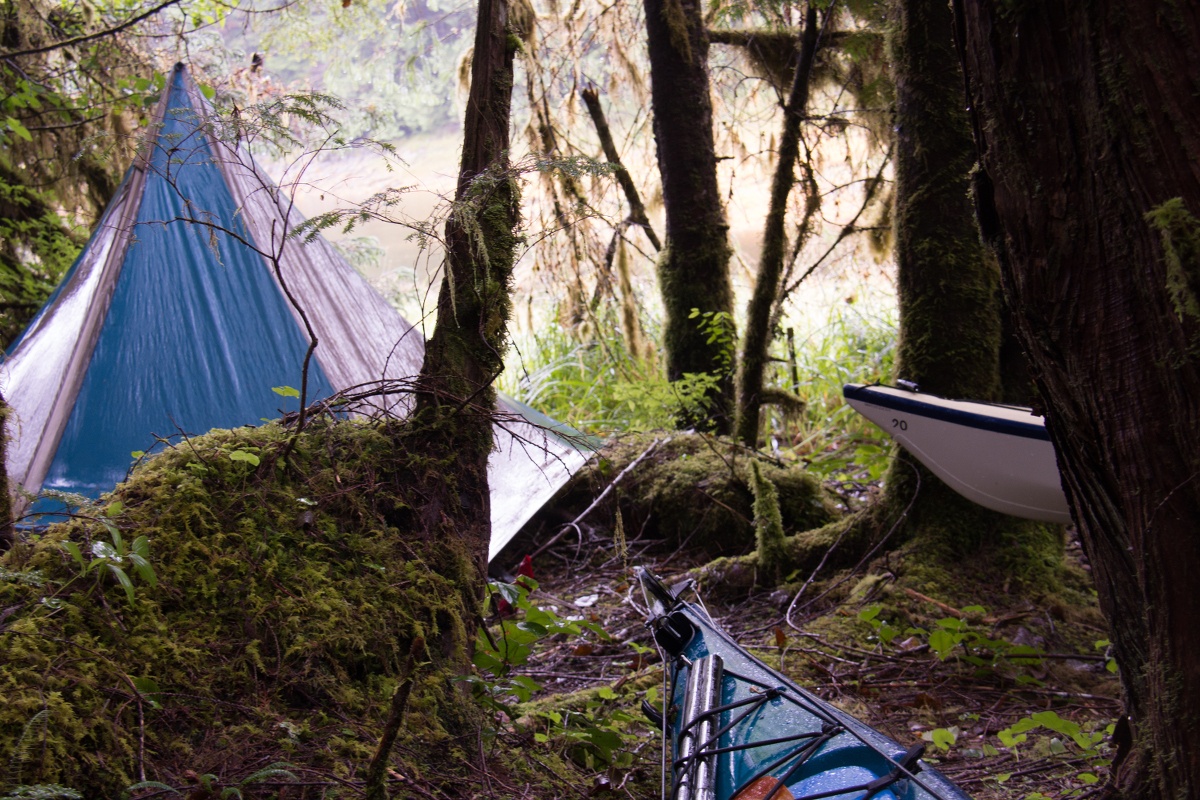 Blue and tan mega mid tent and kayaks in a mossy forested area