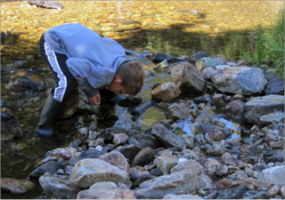 Boy observing water Boy observing water