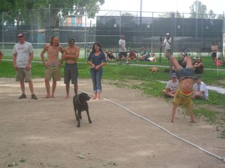 SAM_1751 SAM_1751