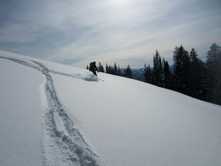 Ski Ski