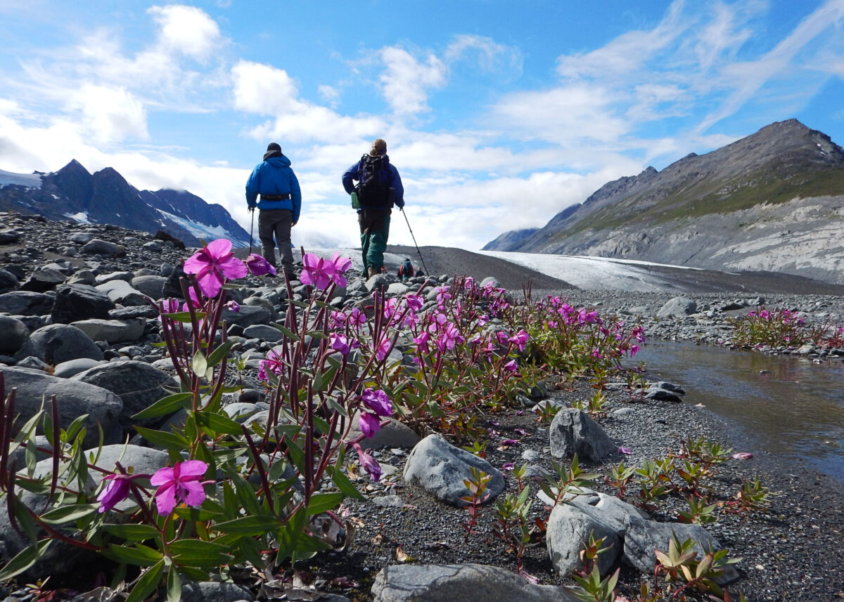 Alaska Backpacking and Sea Kayaking 2015, 7/9/15-8/7/2015 Prince William Sound, Chugach Mountains