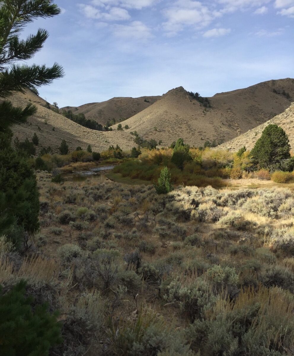 Logan-Red-Desert