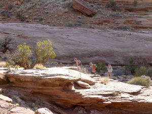 Bears Ears Photo courtsey of Molly Absolon