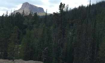 Sphinx_Mountain_RD_Marks-294187-edited.jpg