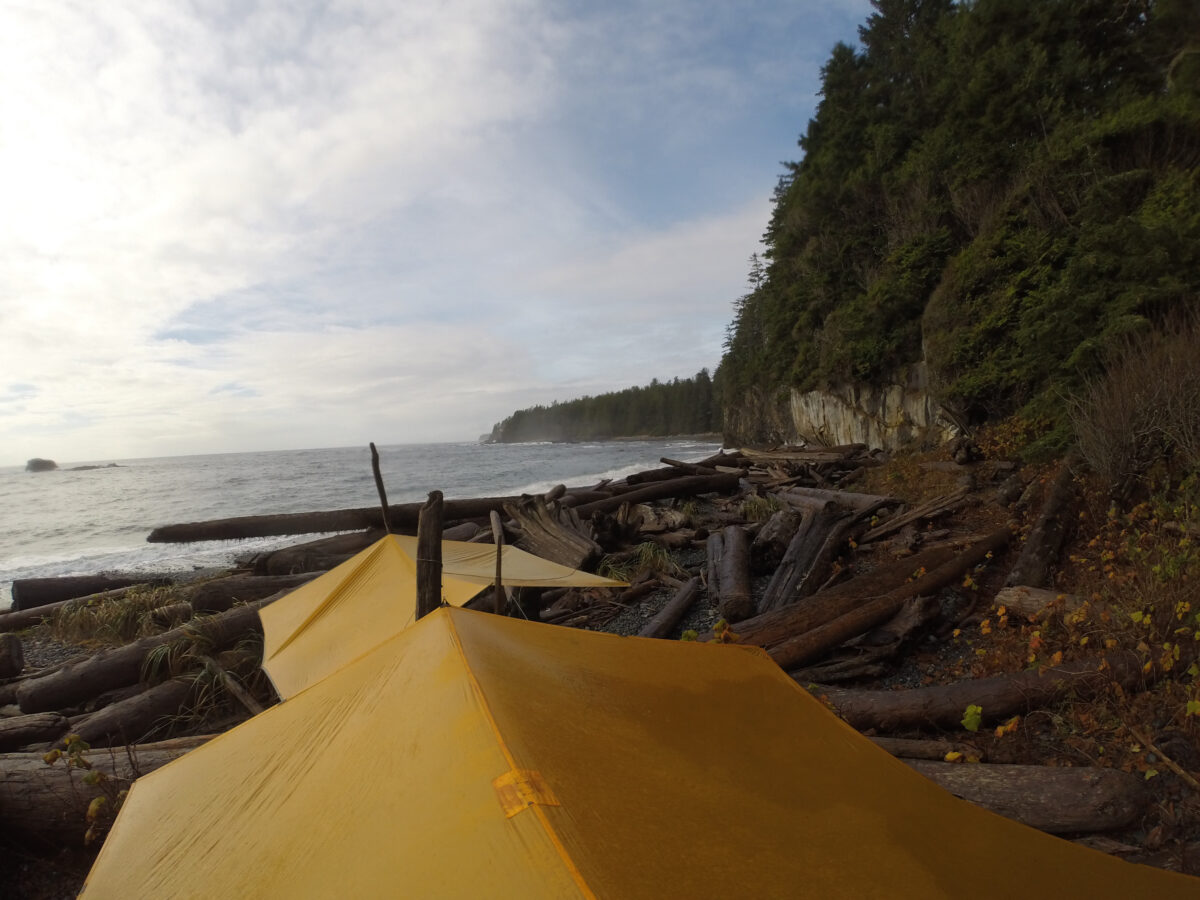 Sea Kayak North America’s Inside Passage – Alumni