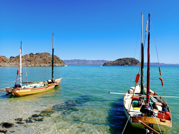 Baja Coastal Sailing – Adult