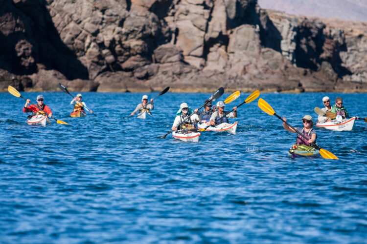 Baja Sea Kayaking – 16 and older