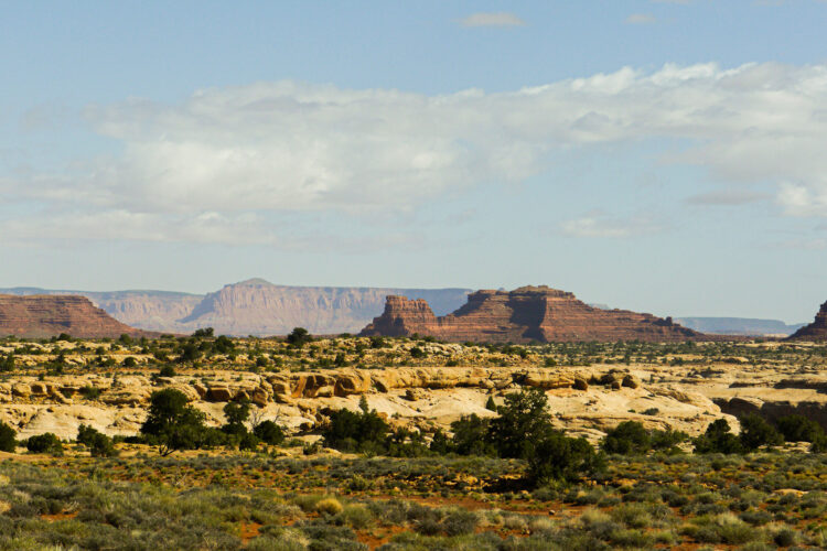 LGBTQ+ Canyonlands Backpacking – Adult