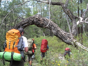 Gila_hike_3 Gila_hike_3