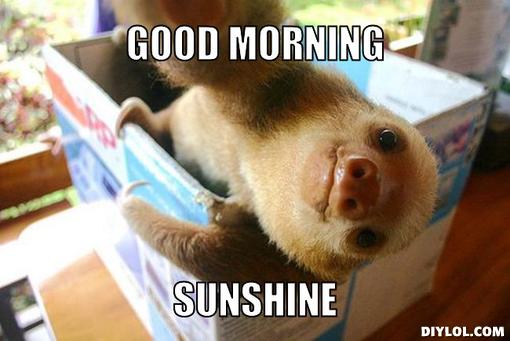 good-morning-please-wake-up-meme