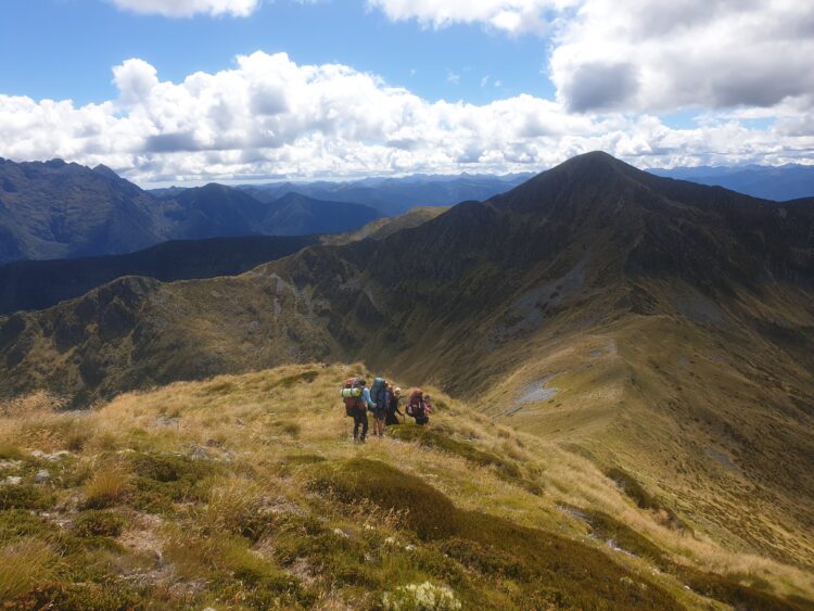New Zealand Backpacking