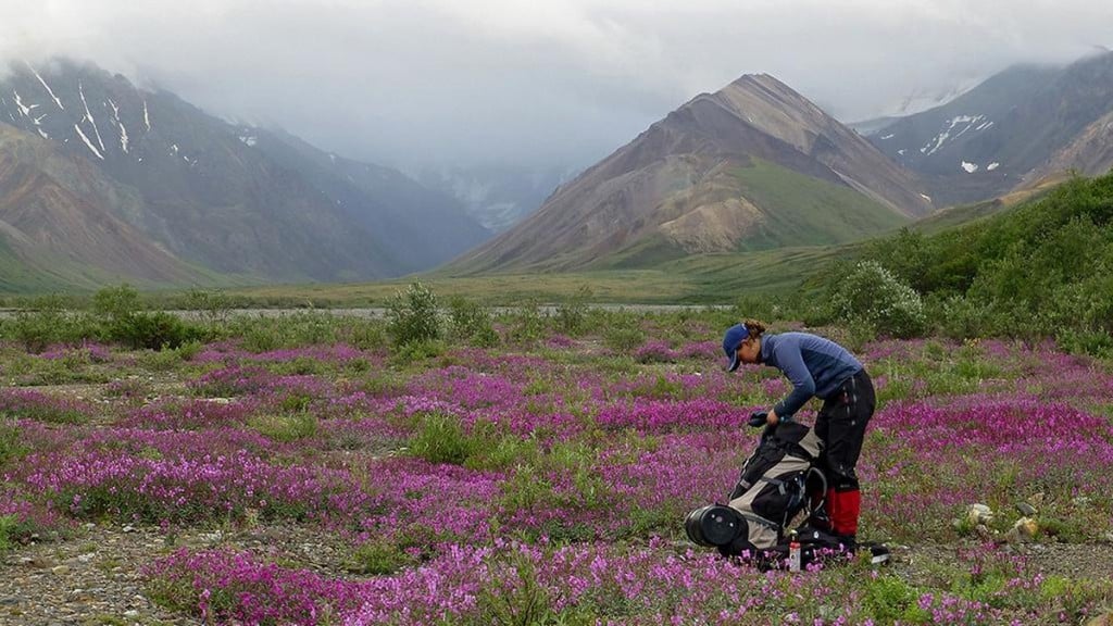 inge-davids-backpack-alaska-1024x576