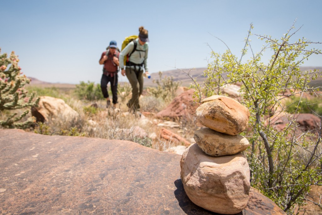Educator Expedition: “Plan B” Rock Climbing in Red Rocks