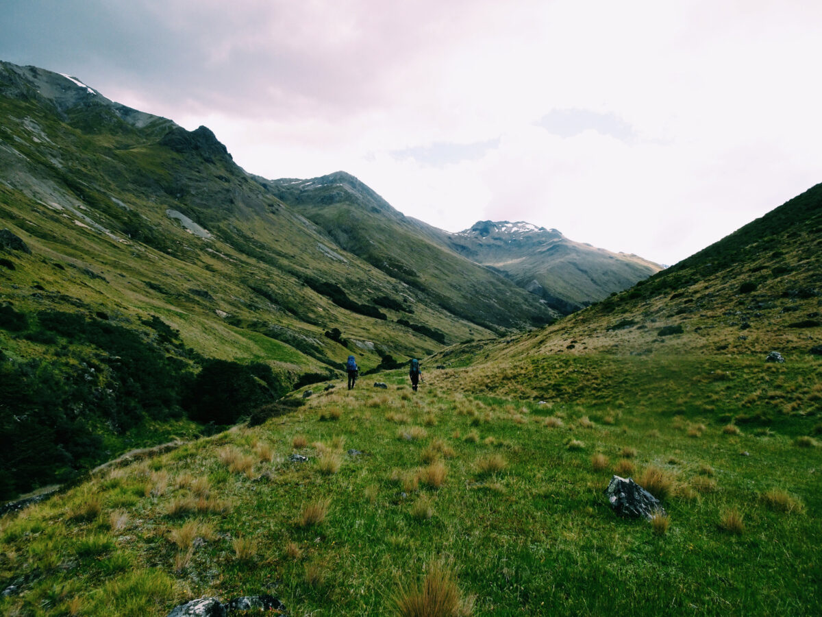 New Zealand Instructor Course
