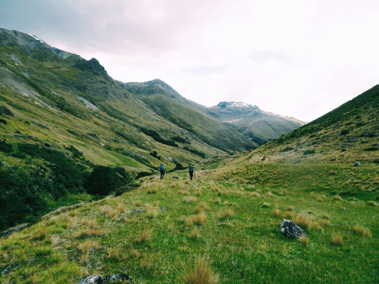 Backpacking New Zealand’s Old Ghost Road – Alumni