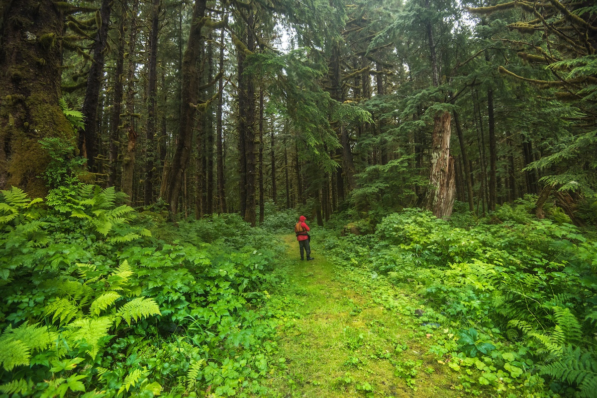 Portage through the Greenery