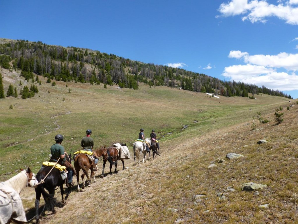 Beyond My City Life: Horsepacking in the Rockies