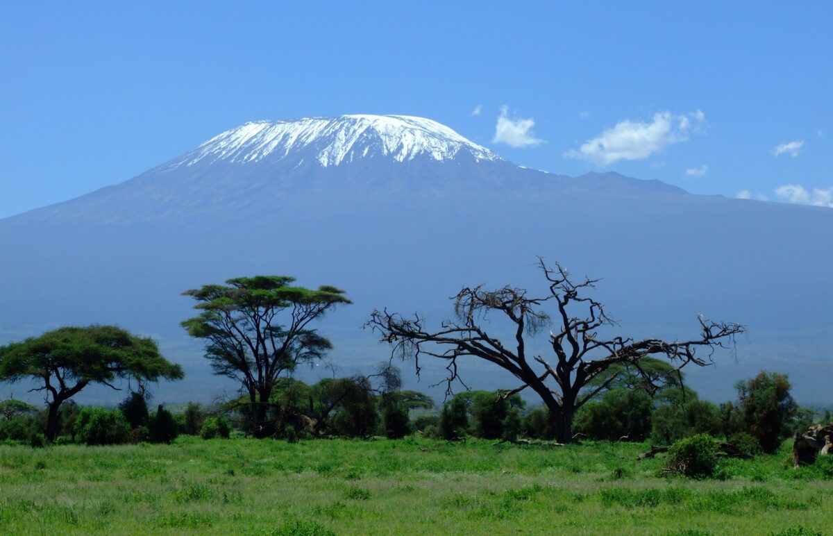 Mountaineering on Tanzania’s Mount Kilimanjaro – Alumni