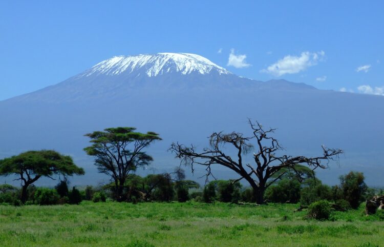 Mountaineering on Tanzania’s Mount Kilimanjaro – Alumni
