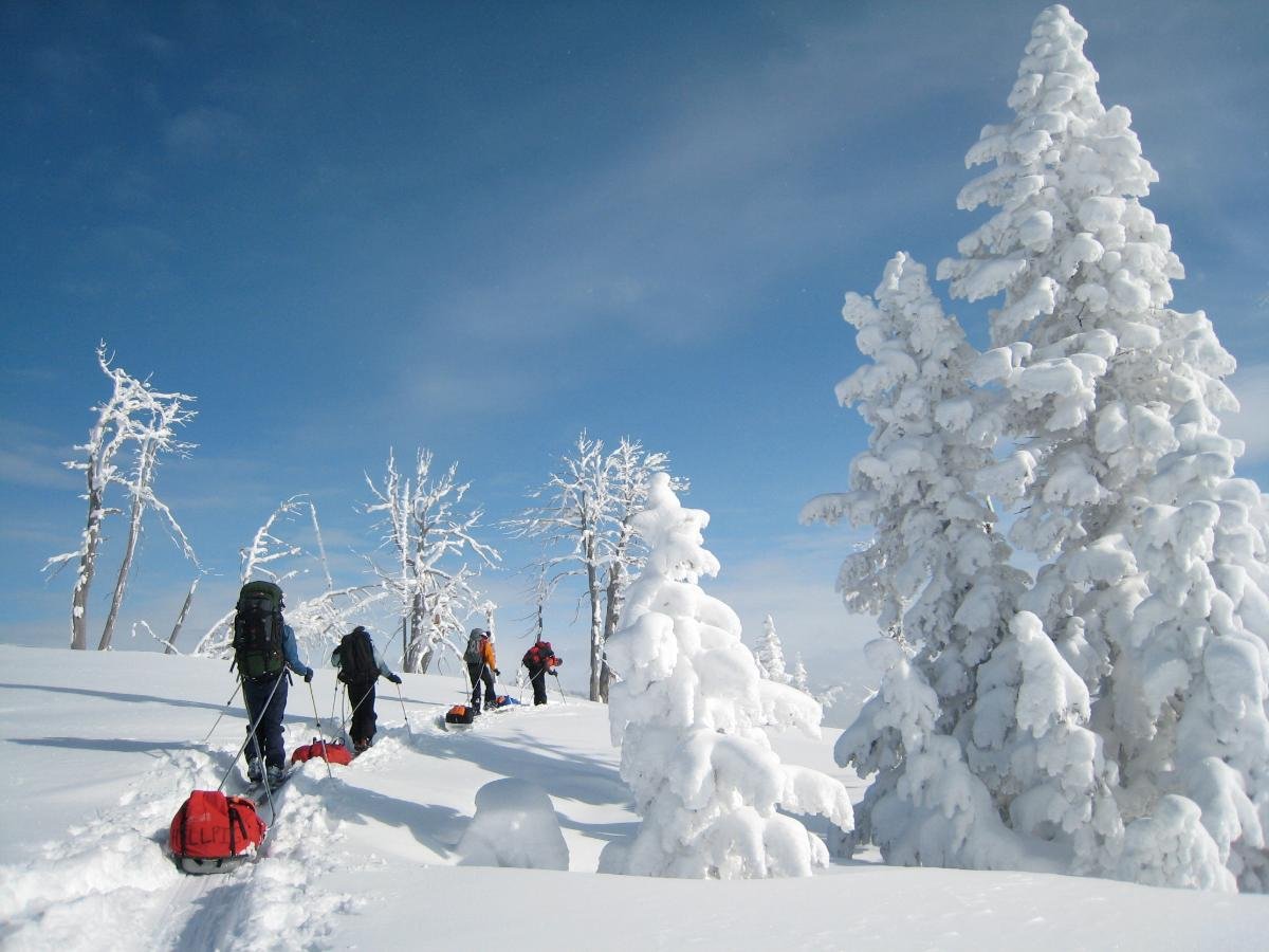 Backcountry Skiing Backcountry Skiing