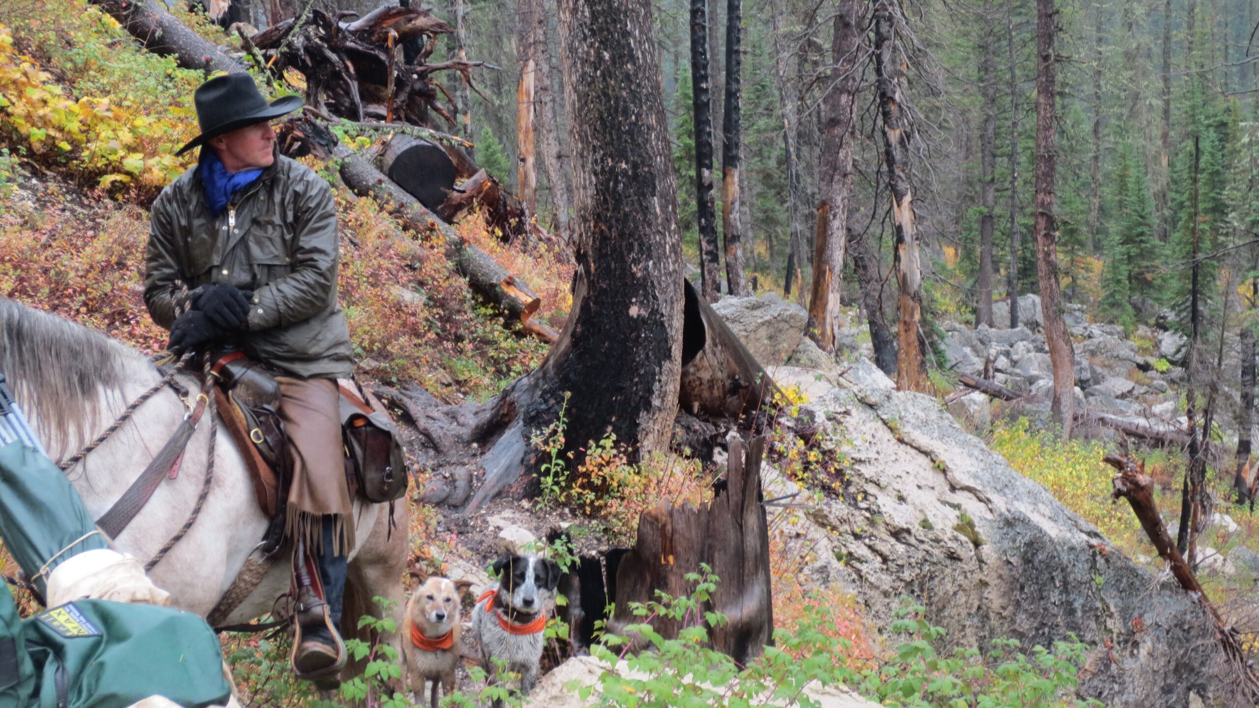 Taking a Look at the Gros Ventre