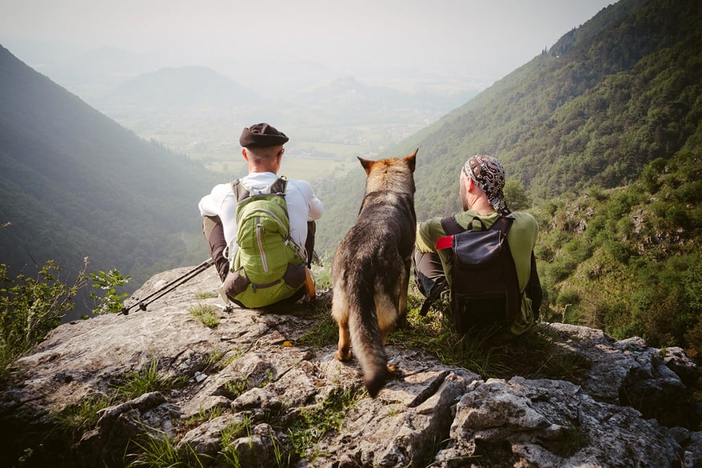 milehirafting-dog-hike-1024x683-1