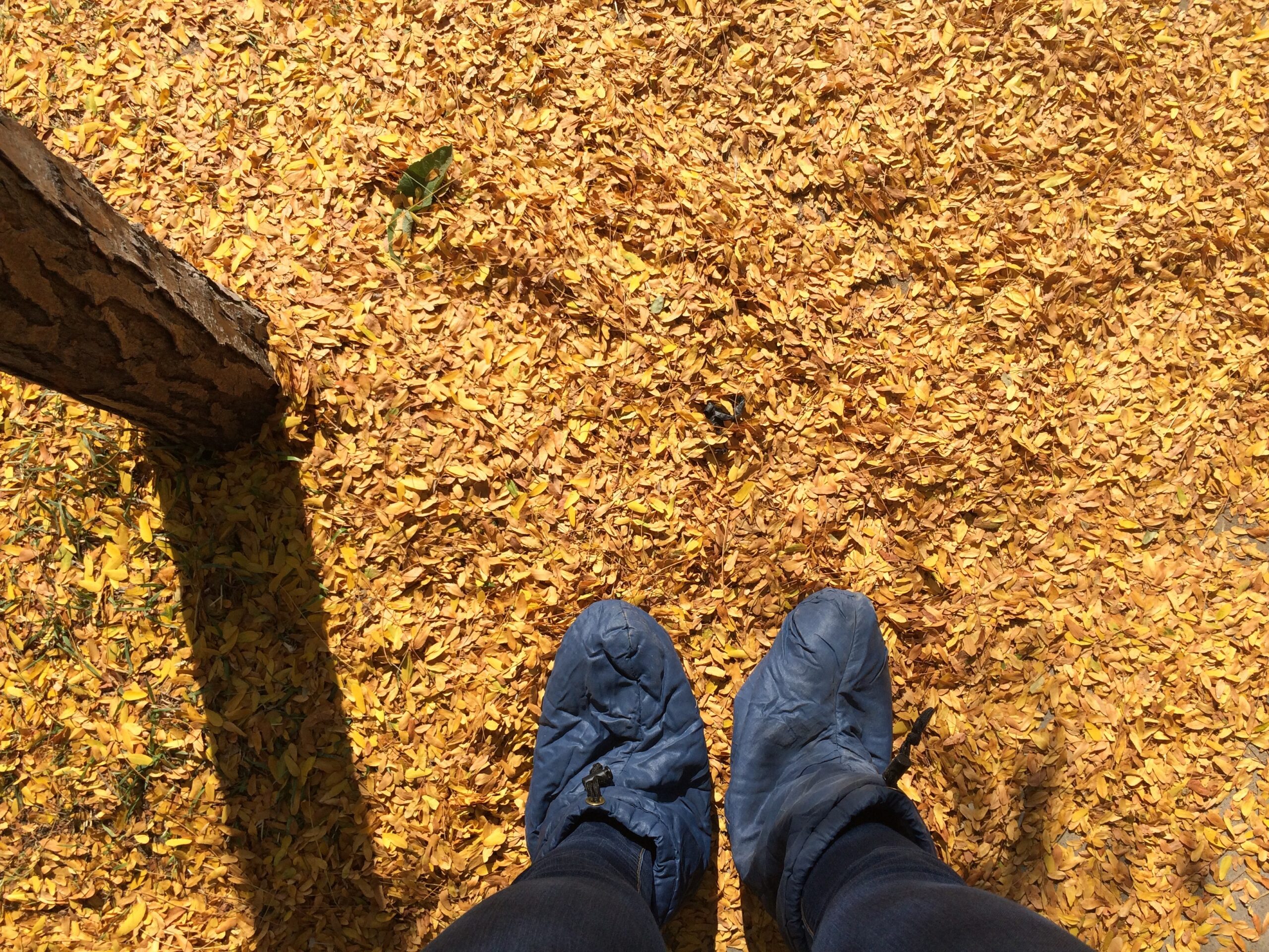Down Booties for Foot Warmth