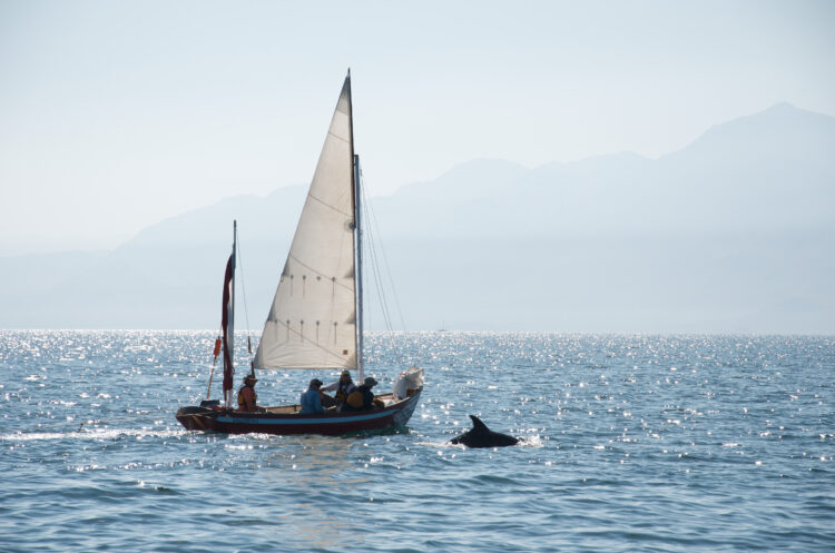 Baja Coastal Sailing