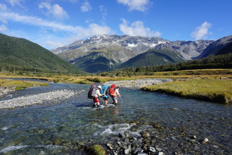 Fall Semester in New Zealand
