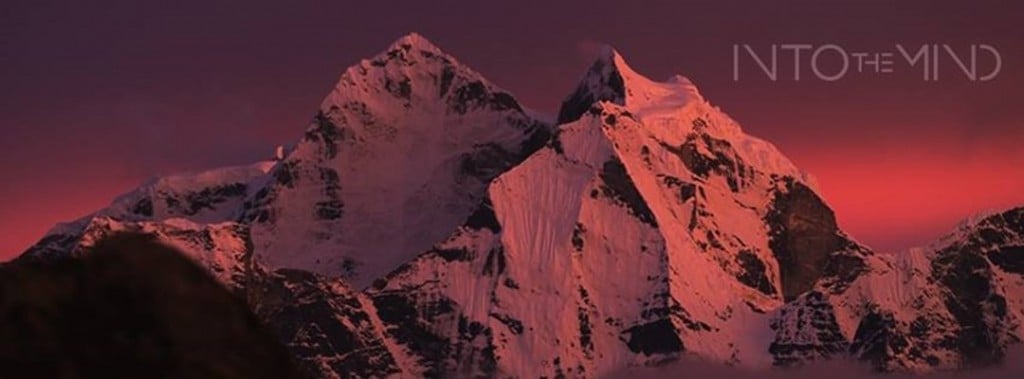 search-rescue-1024x379