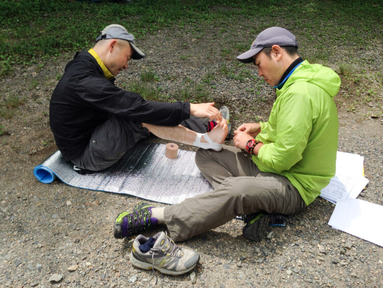Wilderness Medicine for the Professional Practitioner
