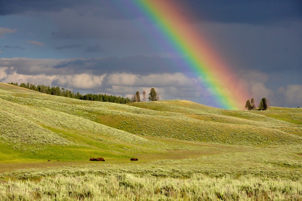 Tips for Visiting 12 Iconic National Parks