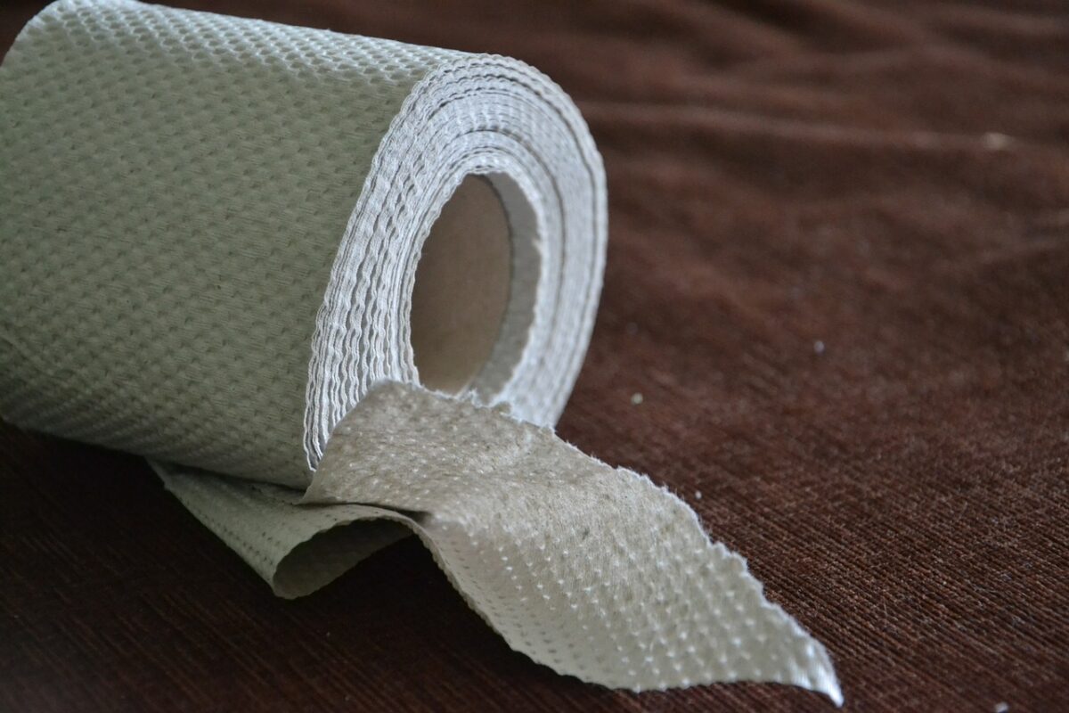 toilet-paper-pixabay