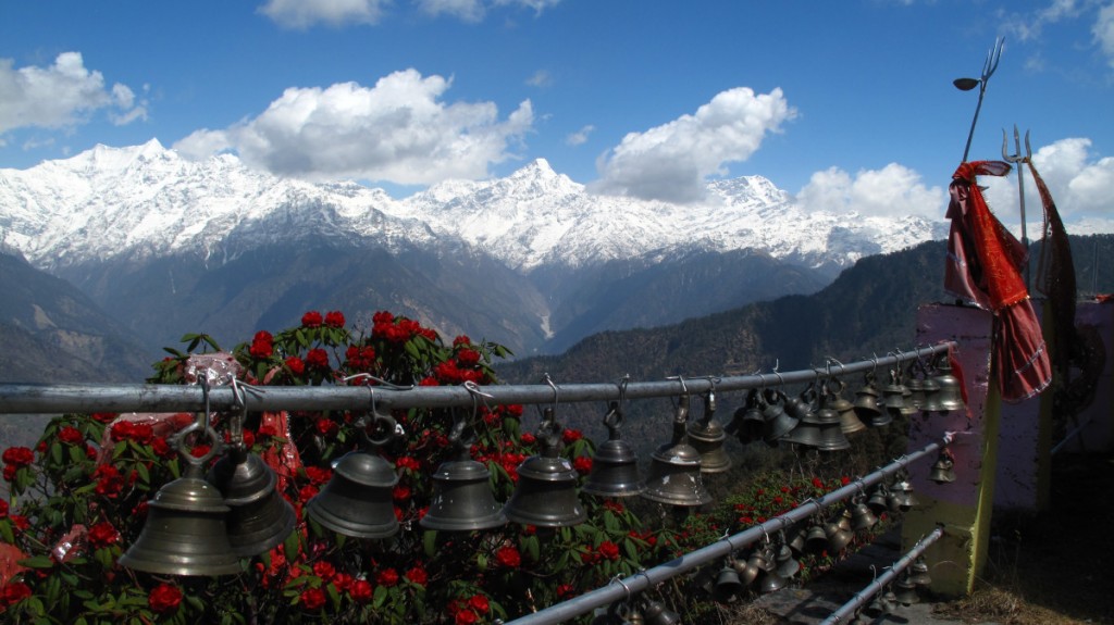 willy-oppenheim-india-bells-flowers-1024x575-1