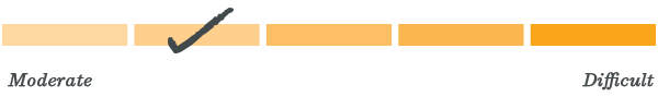 Level 2