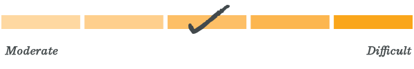 Level 3