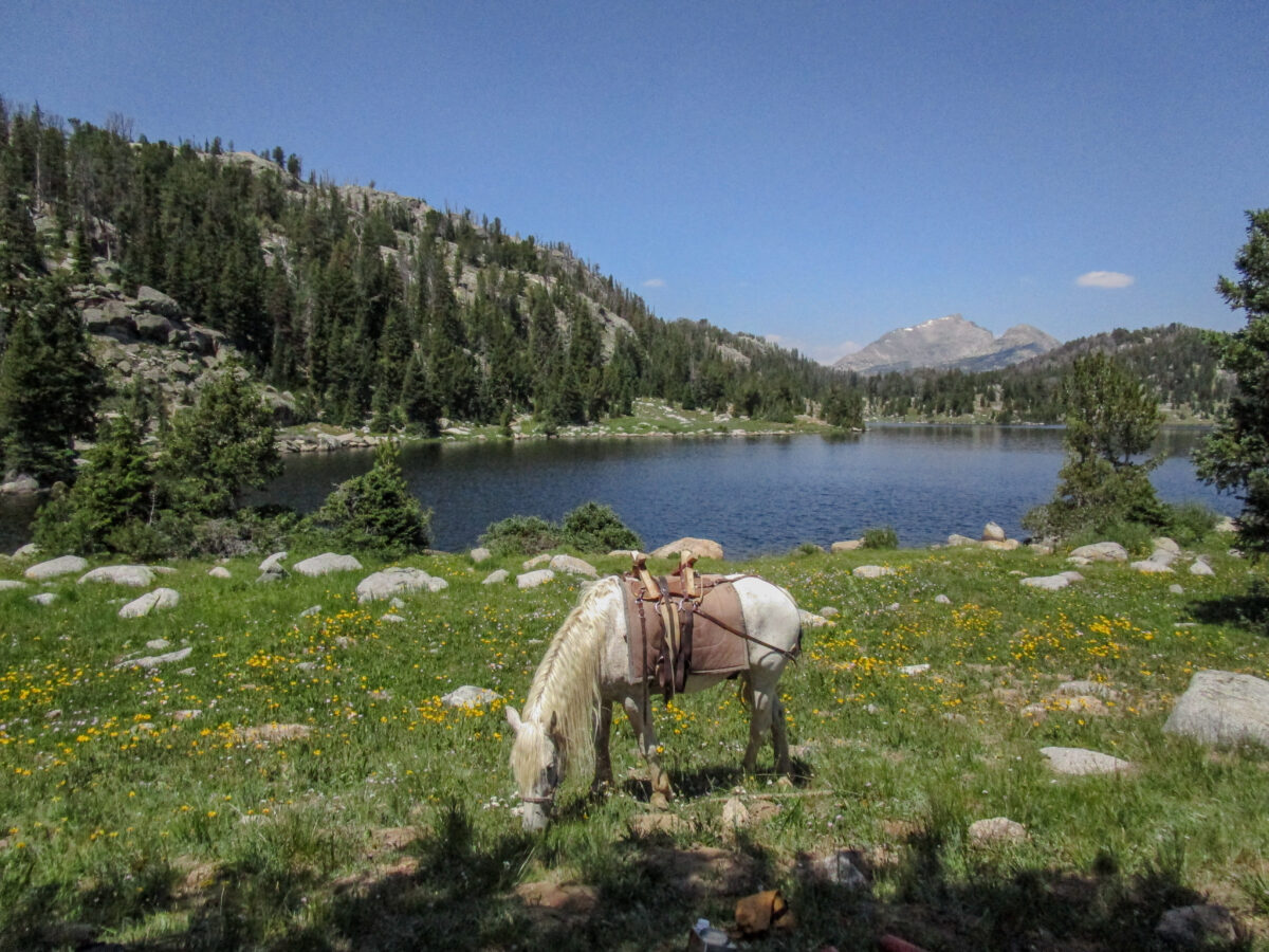 Intermediate Horsepacking in Wyoming’s Wind River Range – Alumni