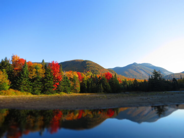 Adirondack Lodge Hiking – Adult – 40 and over
