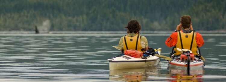 Prince William Sound Sea Kayaking – Adult