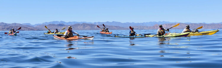 Baja Executive Leadership Kayak Expedition