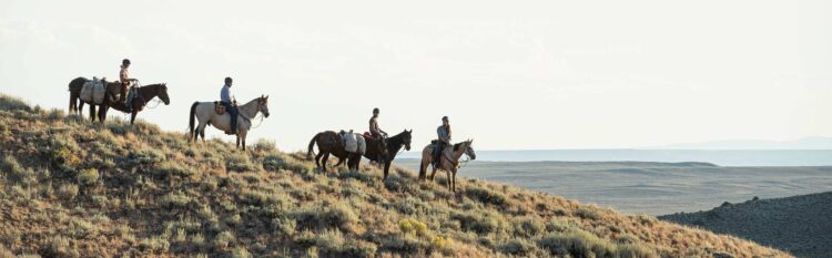 Wilderness Horsepacking