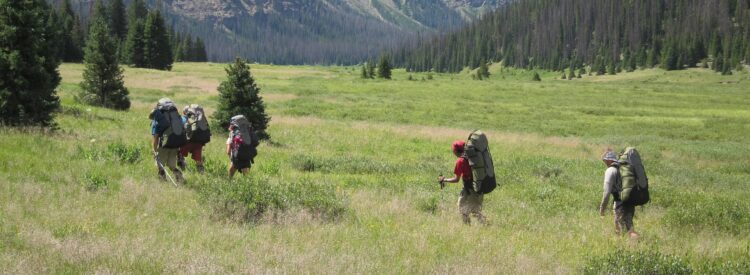 Yellowstone Wilderness