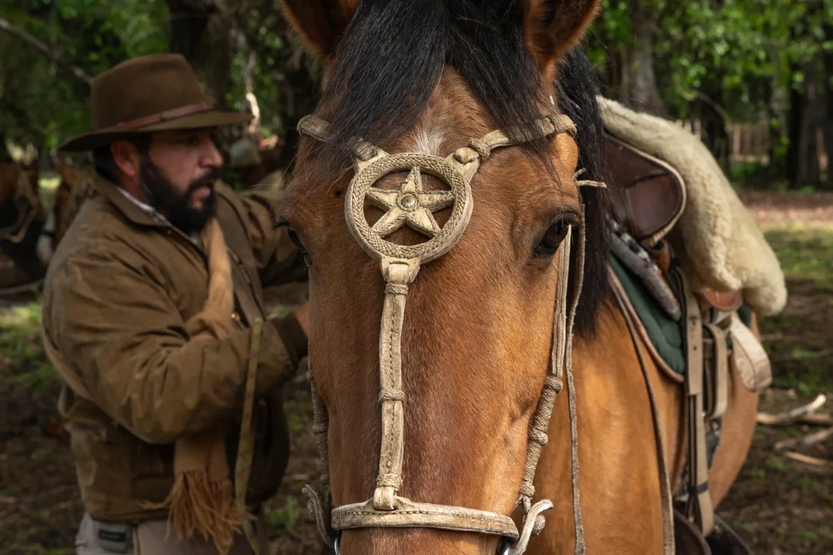 Patagonia Horse Packing Expedition