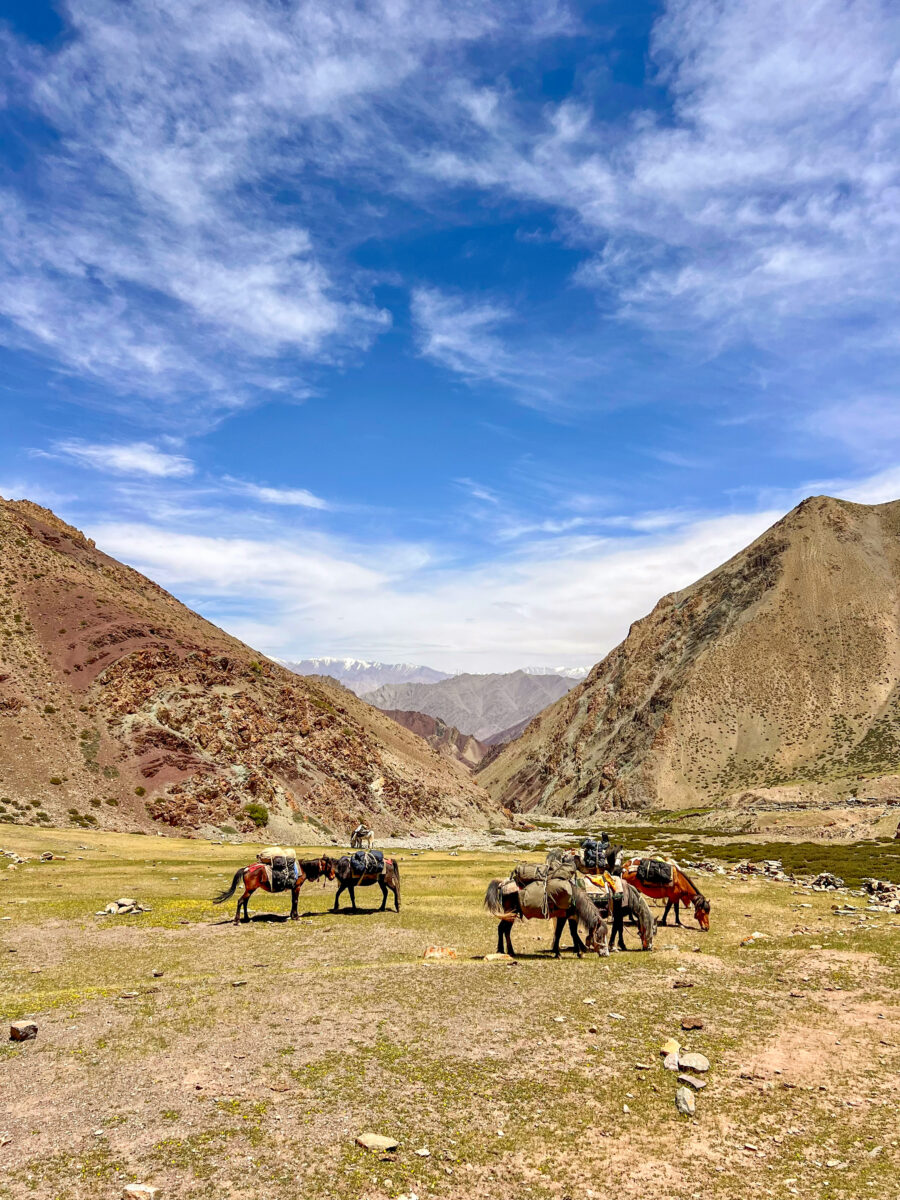 Backpacking India’s Ladakh Highlands – Alumni