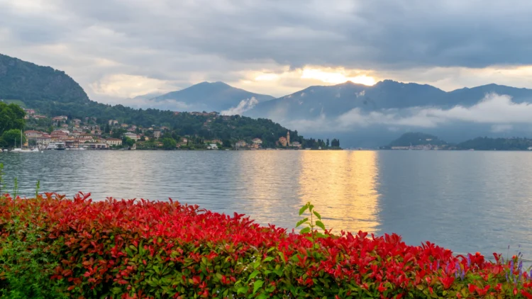 Red flowers in the foreground, Italian lake with the sunset glow and mountains and clouds in the background.