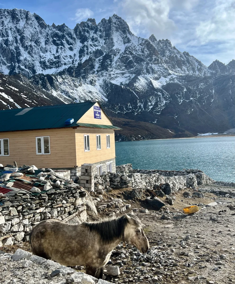 Backpacking Nepal’s Everest Basecamp – Alumni