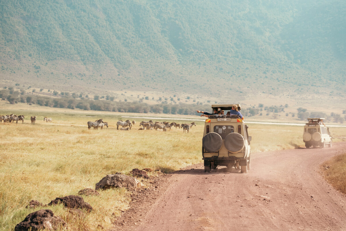 Safari in Tanzania – Alumni